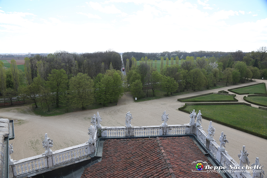 VBS_5967 - Sotto il Cervo - Palazzina di Caccia di Stupinigi.jpg